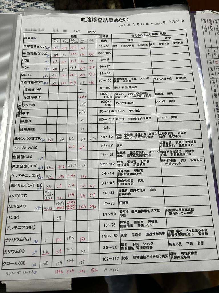 最初に病院でした検査の結果の3枚目