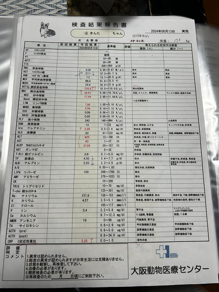 手術前の検査結果