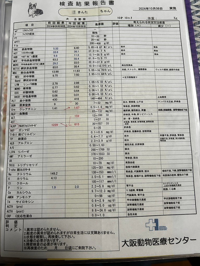 手術後の検査結果