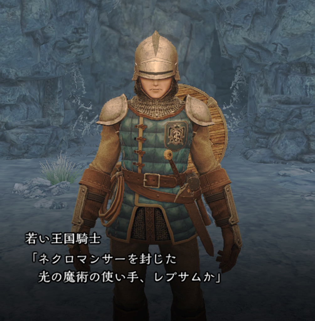 レプサムについての説明